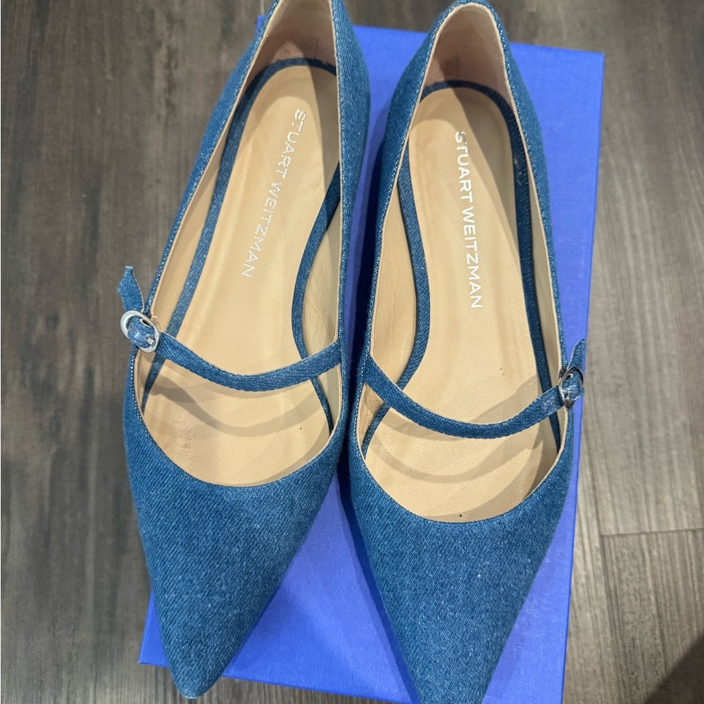 Stuart Weitzman Blue Flats with Ankle Strap